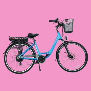 E-Citybike AVERSUS Stadtbummler 350