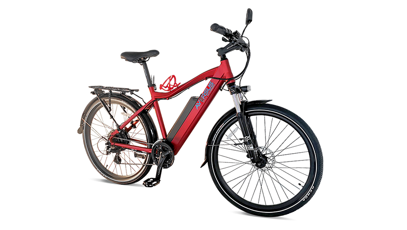 E-Citybike AVERSUS City Runner 500